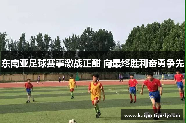 东南亚足球赛事激战正酣 向最终胜利奋勇争先