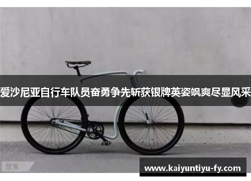 爱沙尼亚自行车队员奋勇争先斩获银牌英姿飒爽尽显风采