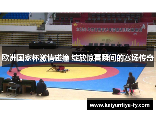 欧洲国家杯激情碰撞 绽放惊喜瞬间的赛场传奇