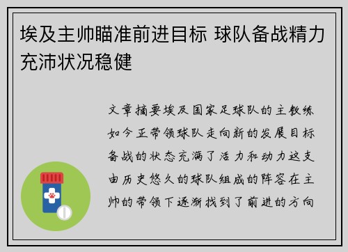埃及主帅瞄准前进目标 球队备战精力充沛状况稳健