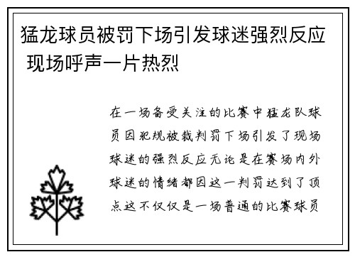 猛龙球员被罚下场引发球迷强烈反应 现场呼声一片热烈