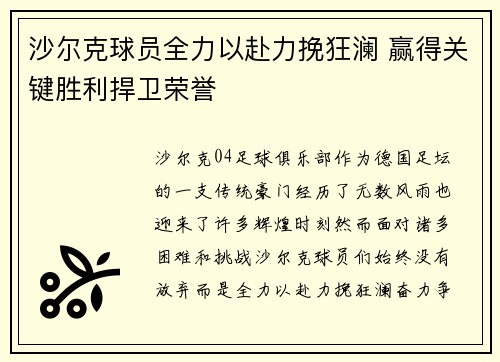沙尔克球员全力以赴力挽狂澜 赢得关键胜利捍卫荣誉