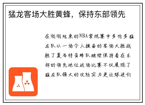 猛龙客场大胜黄蜂，保持东部领先