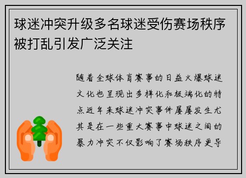 球迷冲突升级多名球迷受伤赛场秩序被打乱引发广泛关注